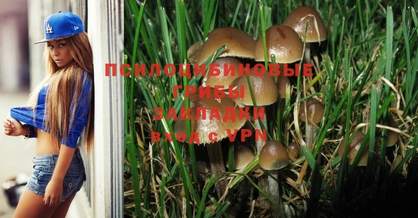 PSILOCYBIN Бугульма